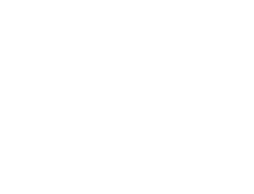 Rally POV
